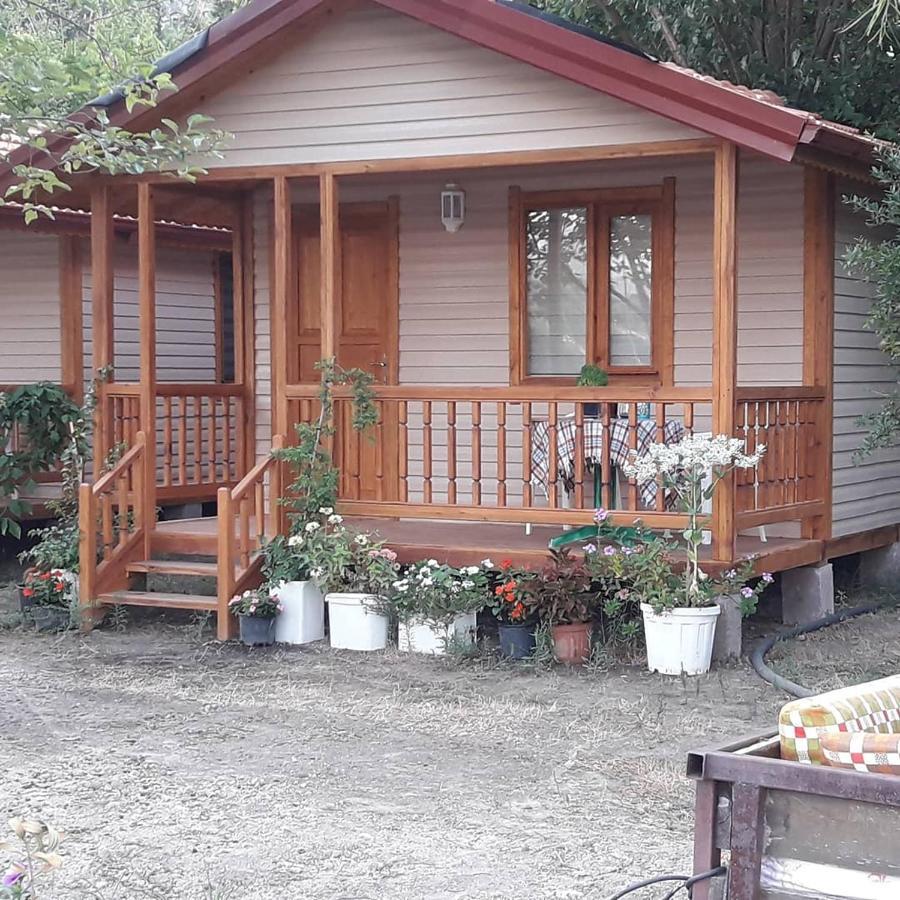 Caunos Bungalow Muğla Ngoại thất bức ảnh